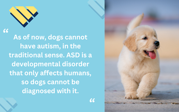 Dogs beside a quote that dogs cannot have autism